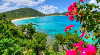 Beach with hibiscus